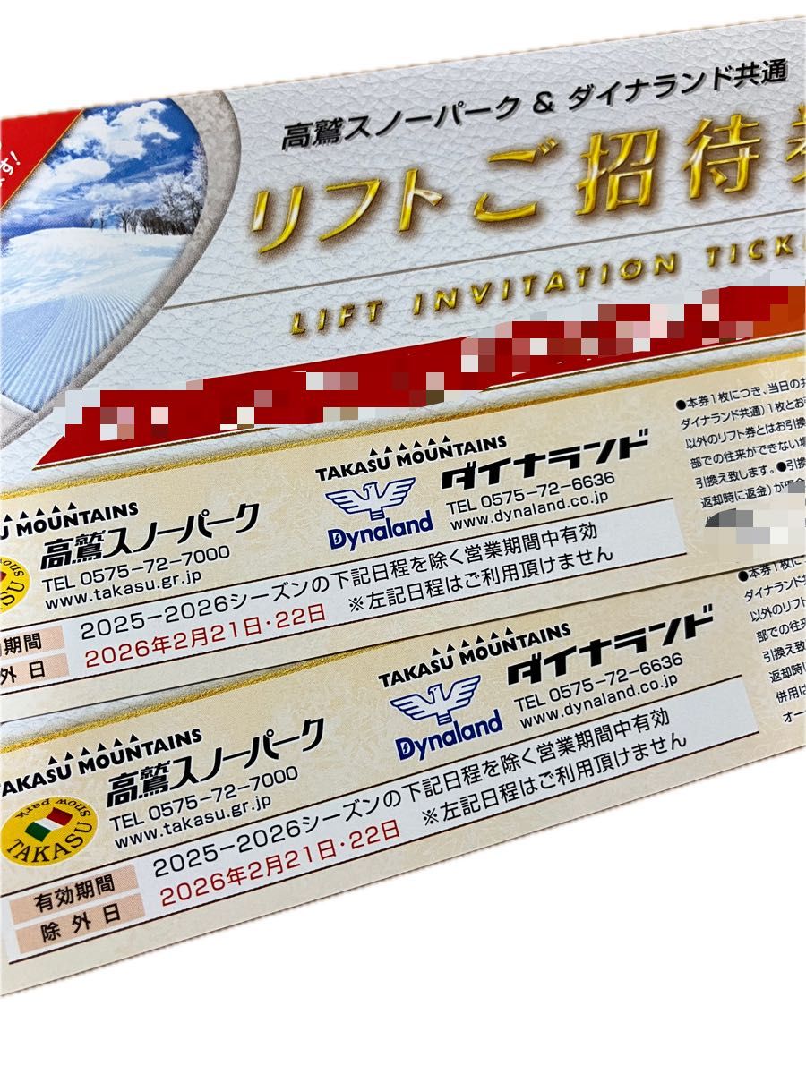 高鷲スノーパーク&ダイナランド共通 リフトご招待券 2枚セット｜Yahoo