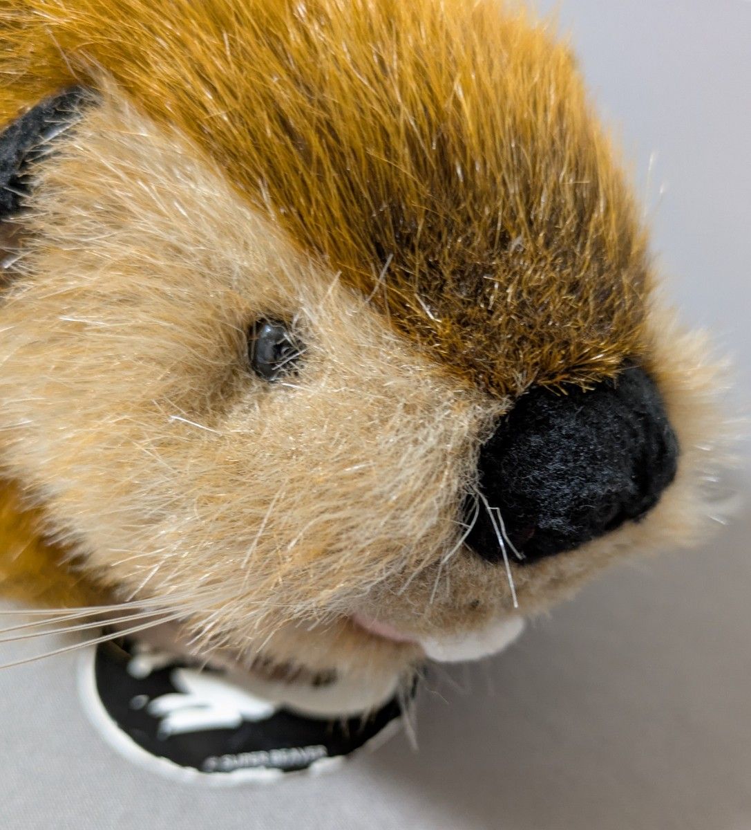 暗所保管 SUPER BEAVER スーパービーバーちゃん ぬいぐるみ 公式グッズ