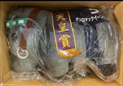 DMMスクラッチ サラブレッドコレクション A賞 メジロマックイーン 超