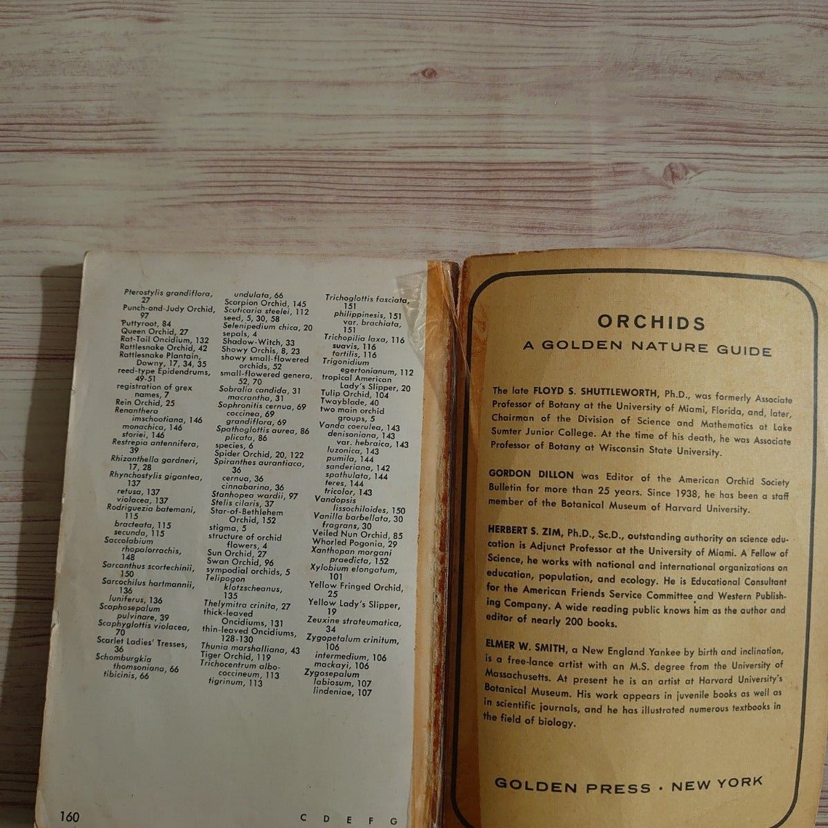 ORCHIDS Golden Nature Guide 洋ラン ガイドブック 英語 洋書｜Yahoo