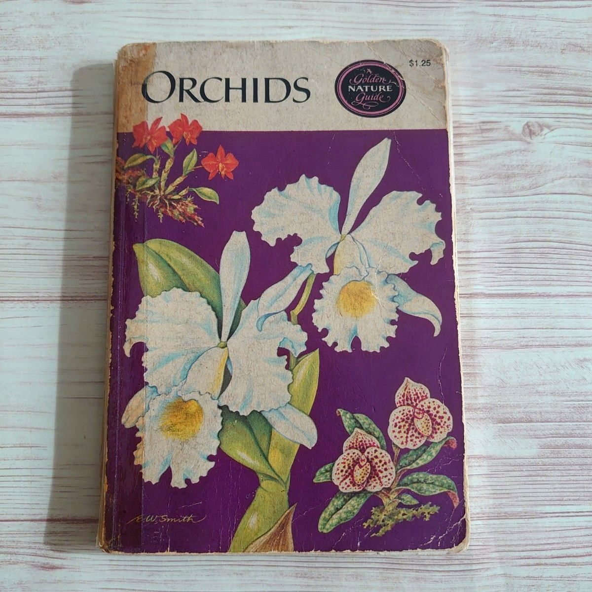 ORCHIDS Golden Nature Guide 洋ラン ガイドブック 英語 洋書｜Yahoo