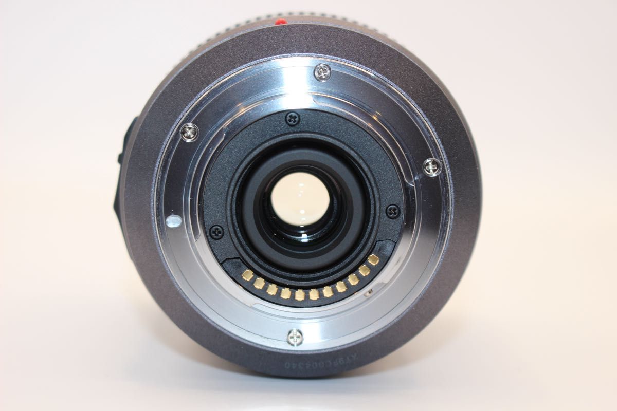 ショット数3993回 LUMIX DMC-GH1 ズームレンズキット ミラーレス