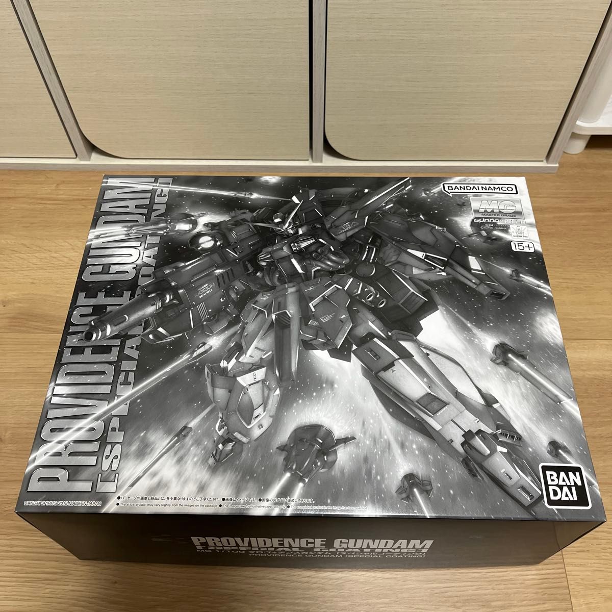 新品未組立》 MG 1/100 プロヴィデンスガンダム [スペシャル