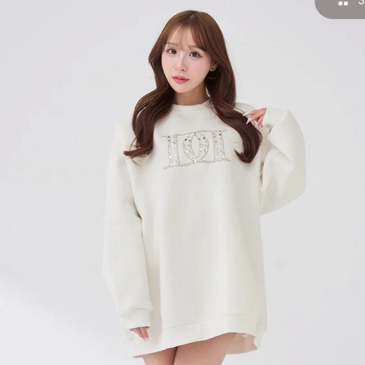 web完売品 Darich ダーリッチ DDロゴビジュースウェットプルオーバー