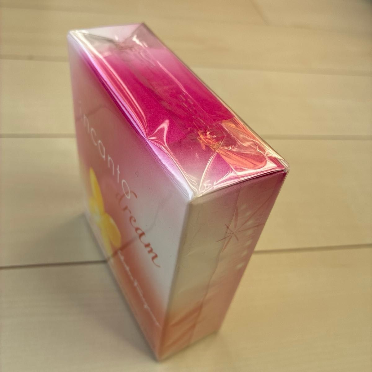 廃盤・希少 正規品 未使用 】Salvatore Ferragamo インカントドリーム