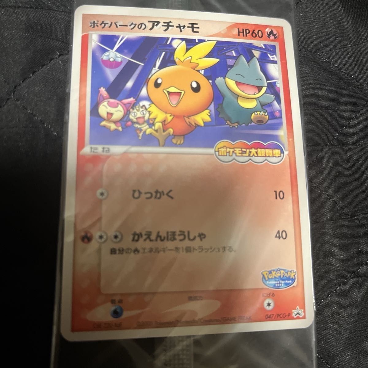 ポケパーク2005 名古屋 限定 ポケモンカード 5種類のうちの2枚セット