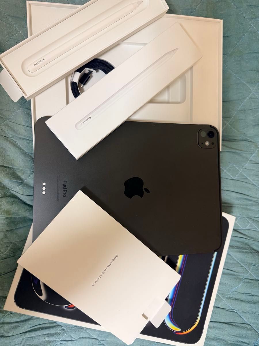 最終値下げ【最大容量97%】極美品iPad Pro M4 11inch Wi-Fi スペース