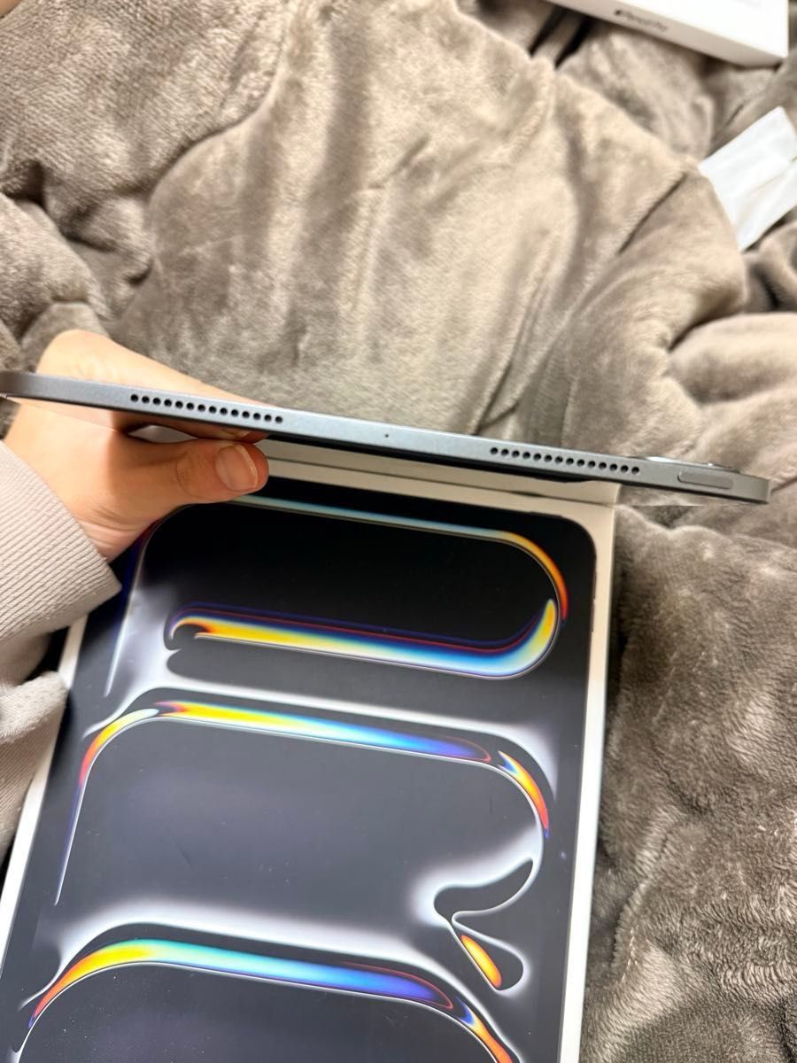 最終値下げ【最大容量97%】極美品iPad Pro M4 11inch Wi-Fi スペース