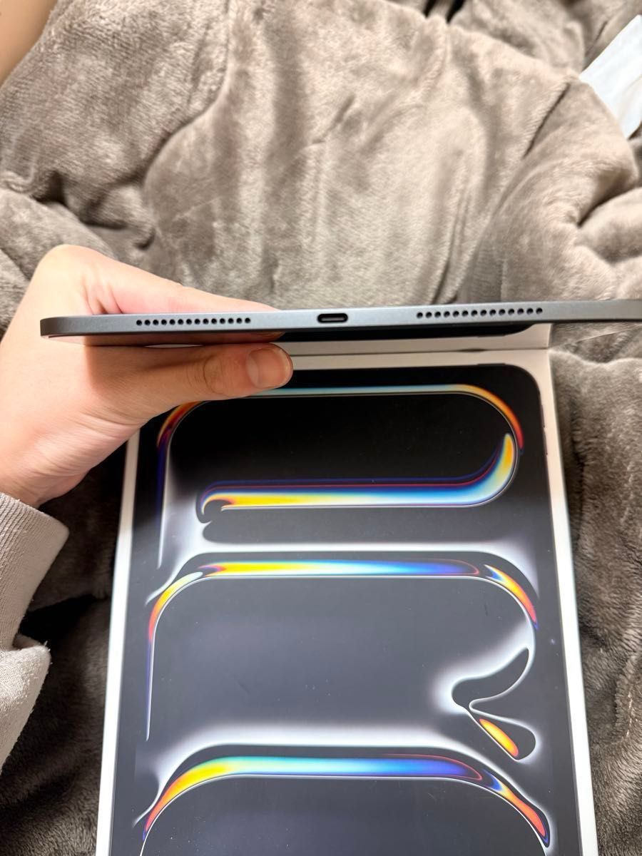 最終値下げ【最大容量97%】極美品iPad Pro M4 11inch Wi-Fi スペース