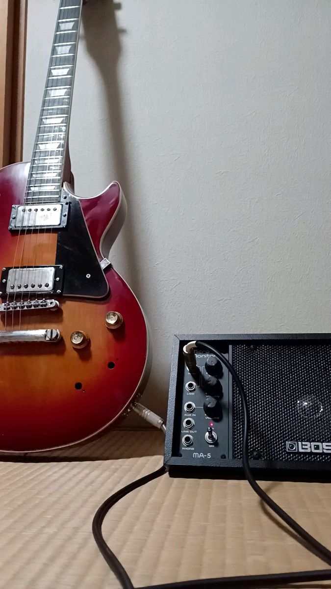 超美品 長渕剛 YAMAHA APX-6S ハードケース付き 超レアストラップ付