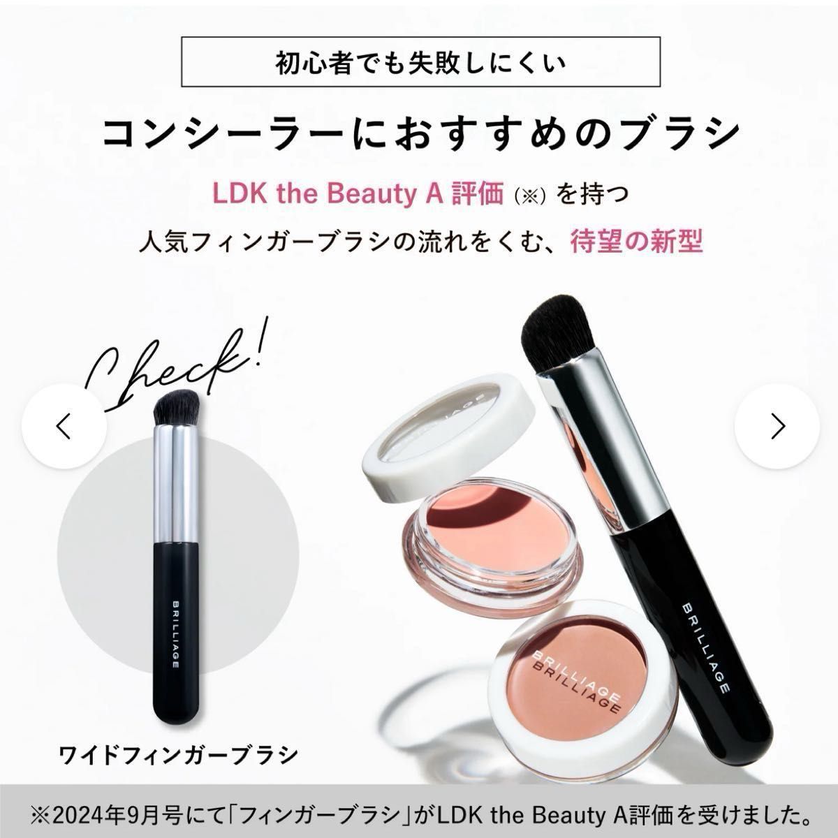 BRILLIAGE ブリリアージュ カモフラージュコンシーラーチーク03