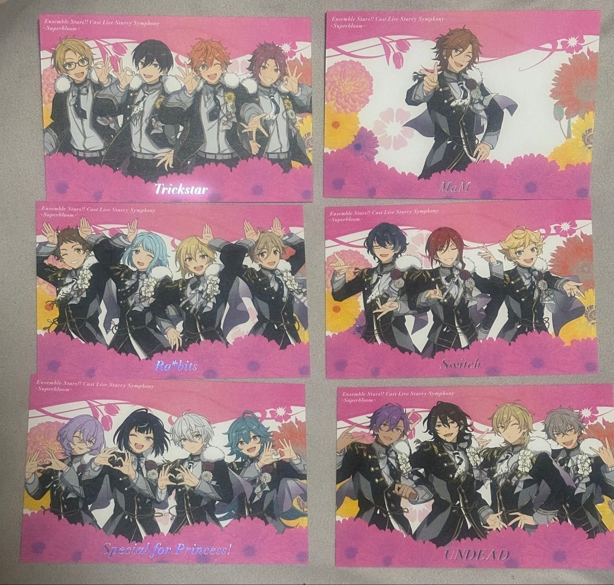 あんさんぶるスターズ あんスタ コレクション缶バッジ 前髪クリップ