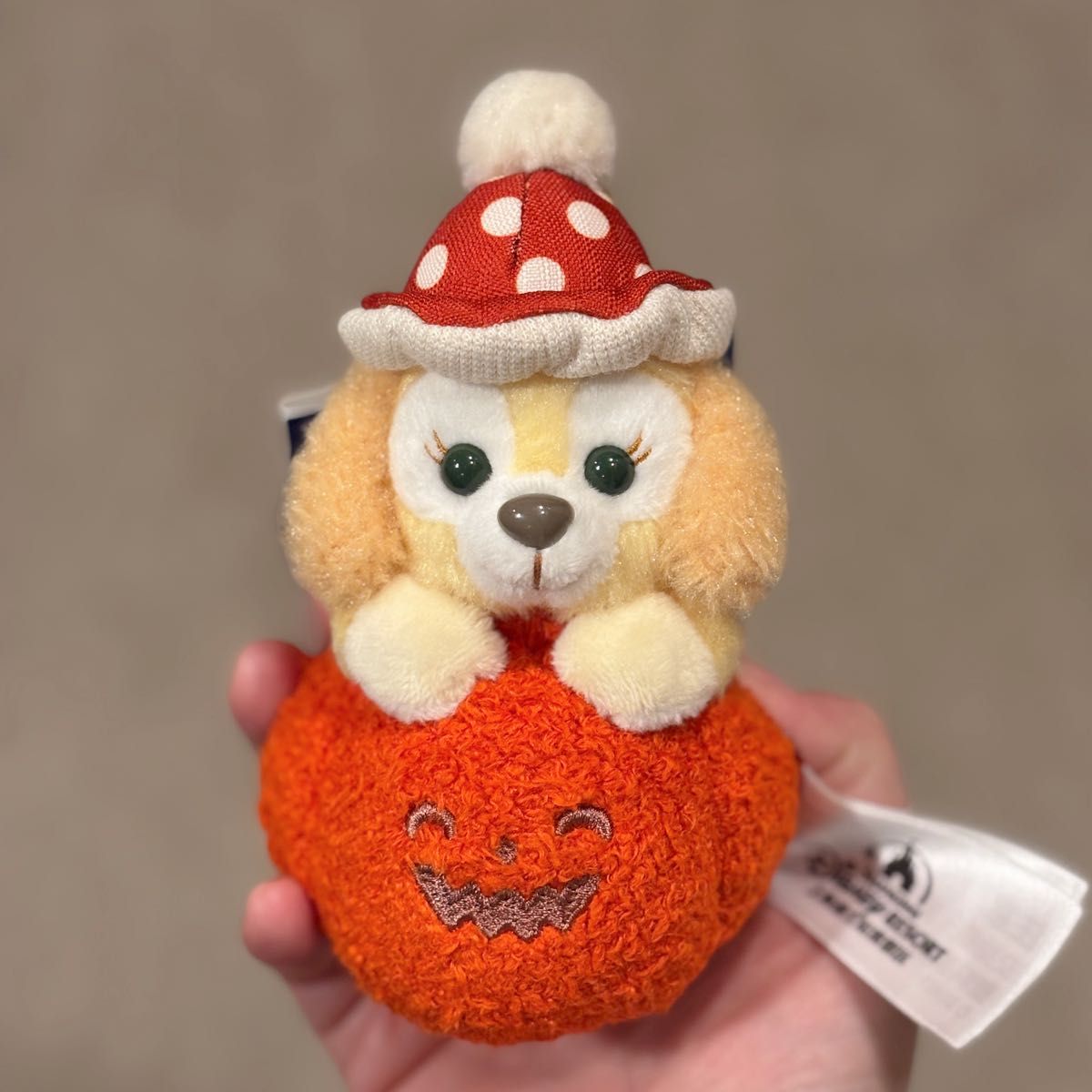 クッキーアン ぬいぐるみバッジ ハロウィン かぼちゃ ディズニー