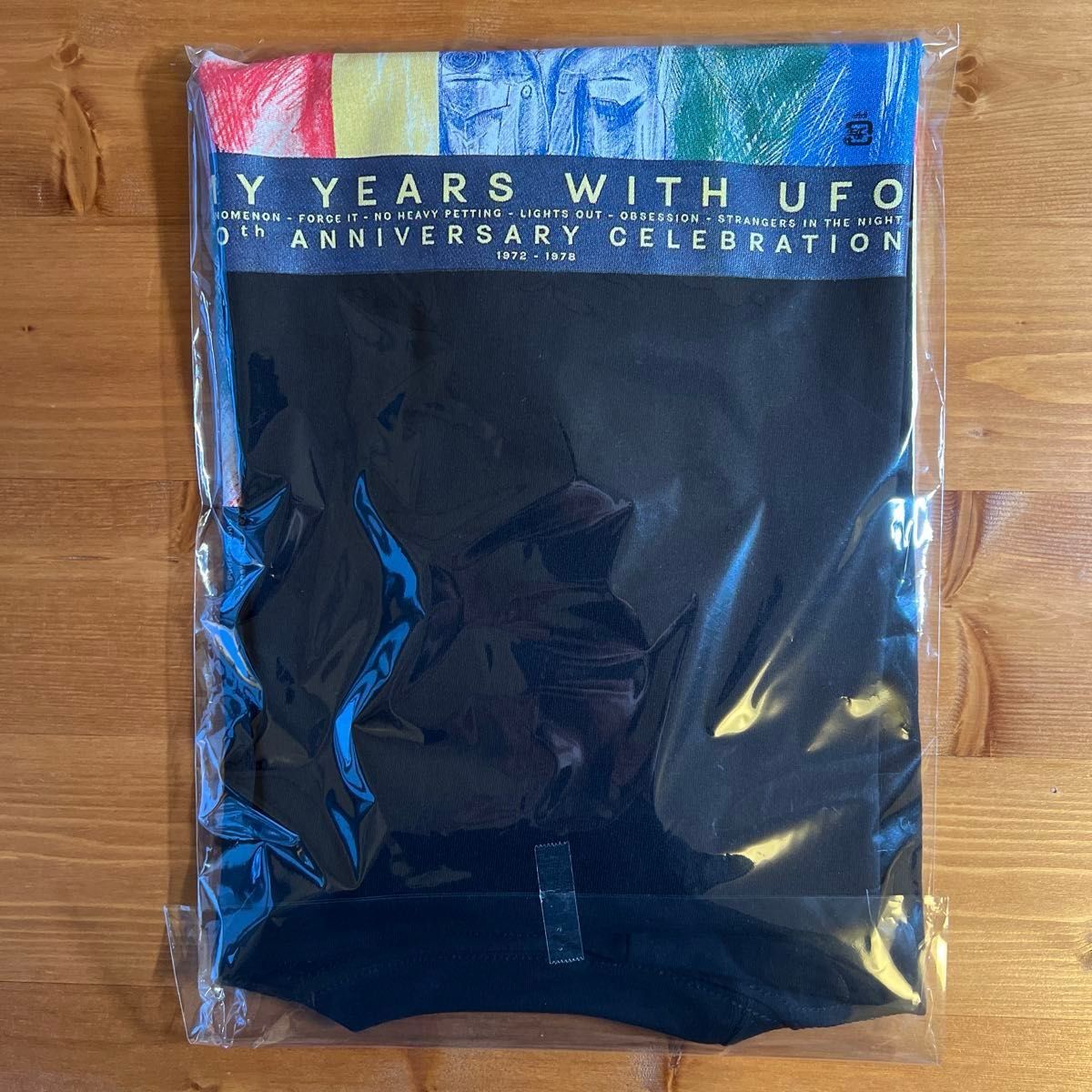 Lサイズ マイケルシェンカー ジャパンツアーTシャツ 2026 来日公演