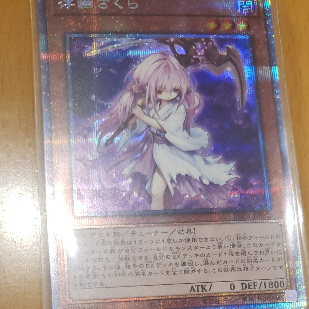 遊戯王 浮幽さくら(ふゆさくら) プリシク プリズマティックアート