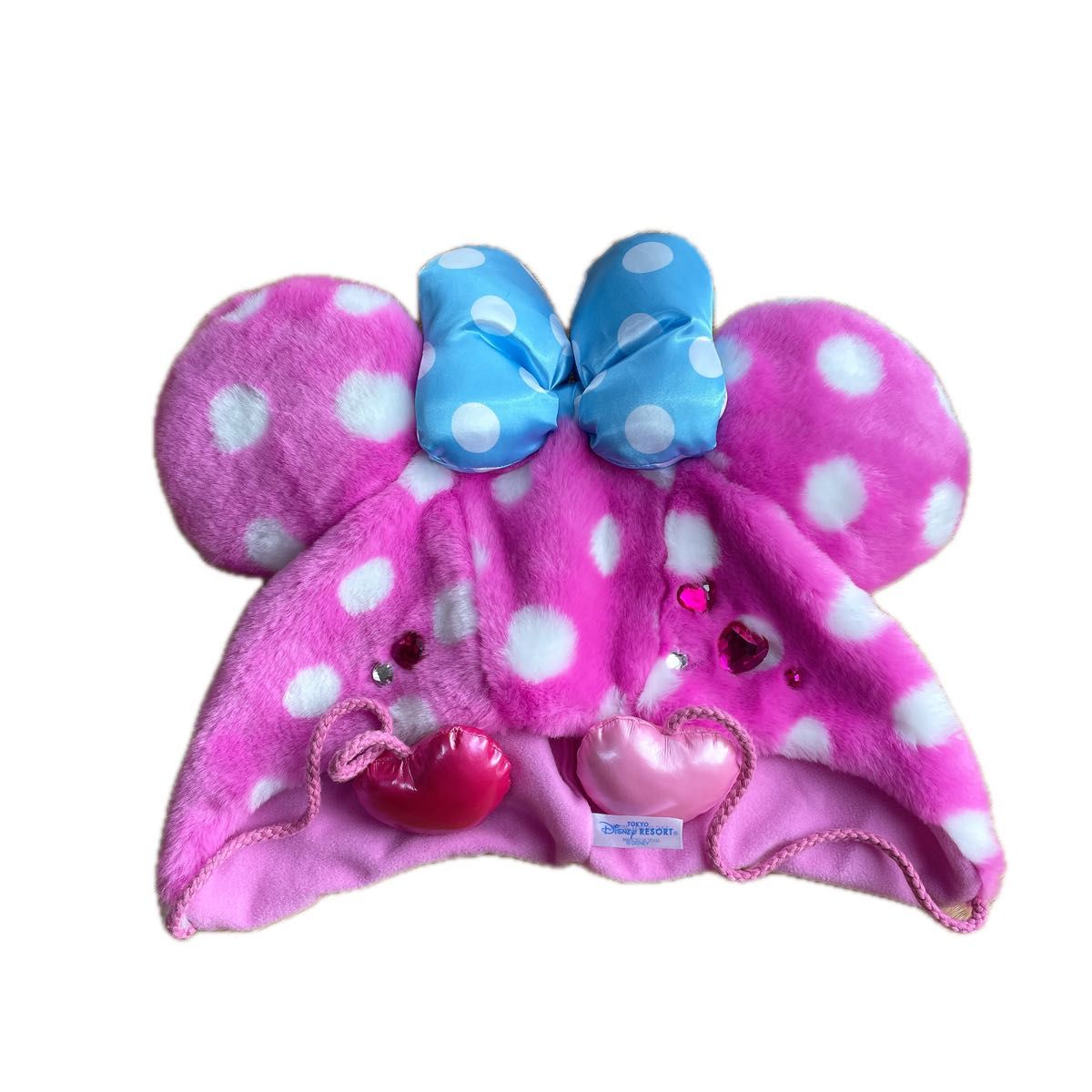 ディズニー パルパルーザ ミニーのファンダーランド2026 ファン