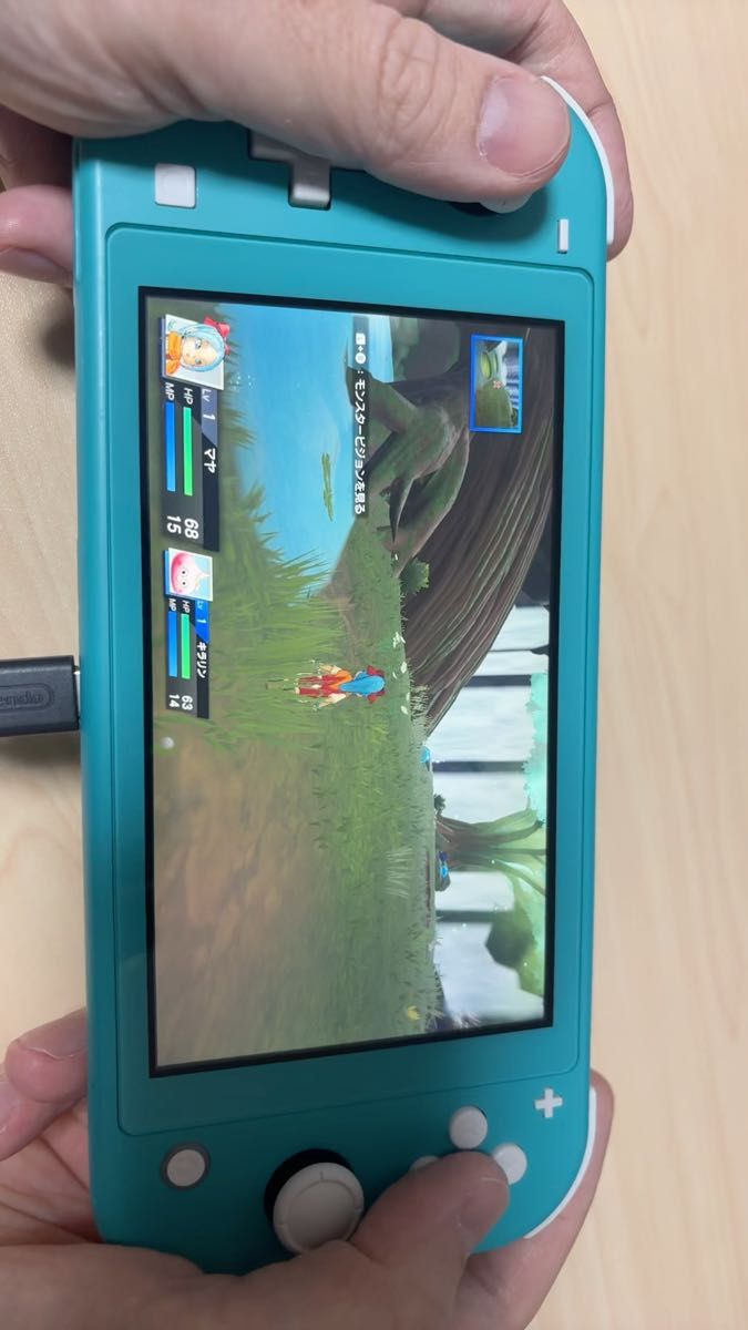 Nintendo Switch Lite ターコイズ 本体のみ ゲームソフトは付きません