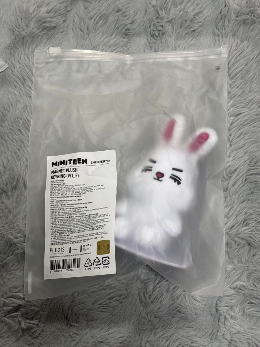 SEVENTEEN MINITEEN マグネットキーリング チェチェリ エスクプス