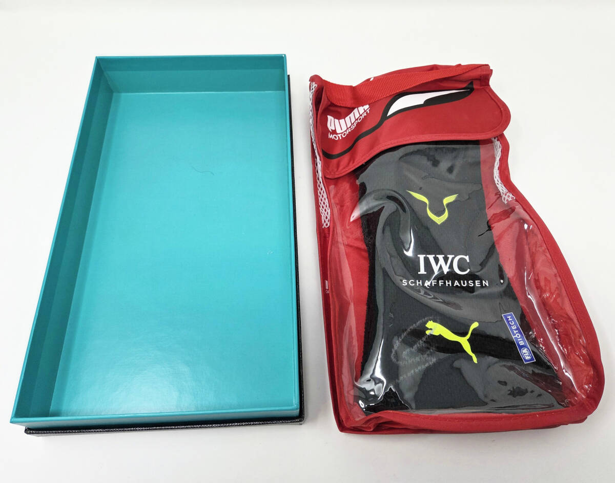 メルセデスAMG ルイス・ハミルトン 2022 本人用レーシンググローブ