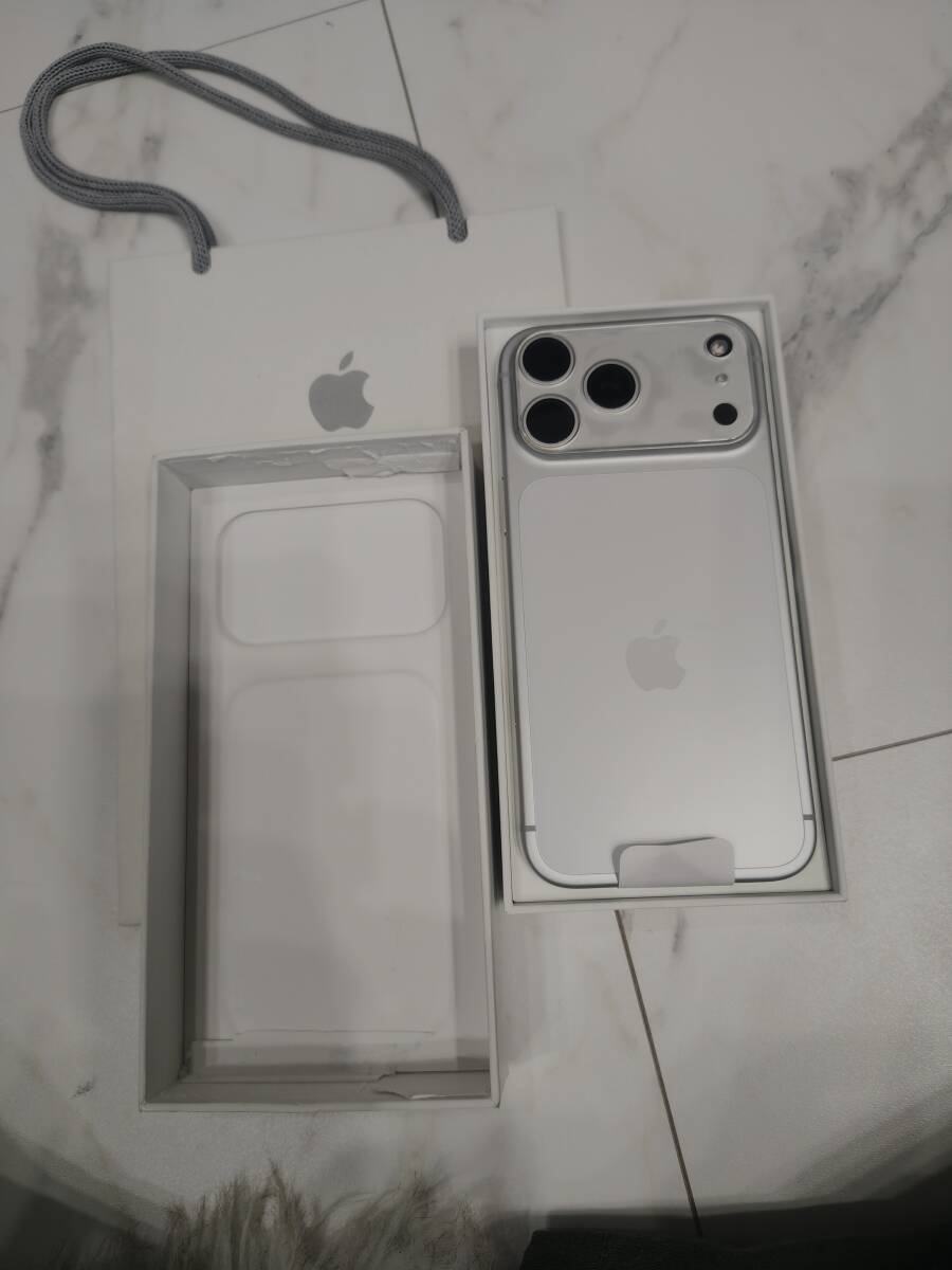 ＋ 盗難・紛失プラン iPhone 17 Pro Max 256GB 本体 シルバー｜Yahoo