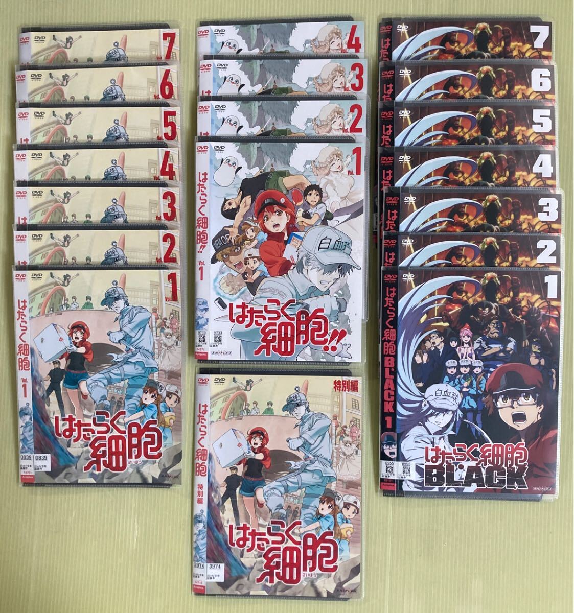 はたらく細胞 7巻 2期 4巻 特別編 1巻 BLACK 7巻 全19巻セット 管理