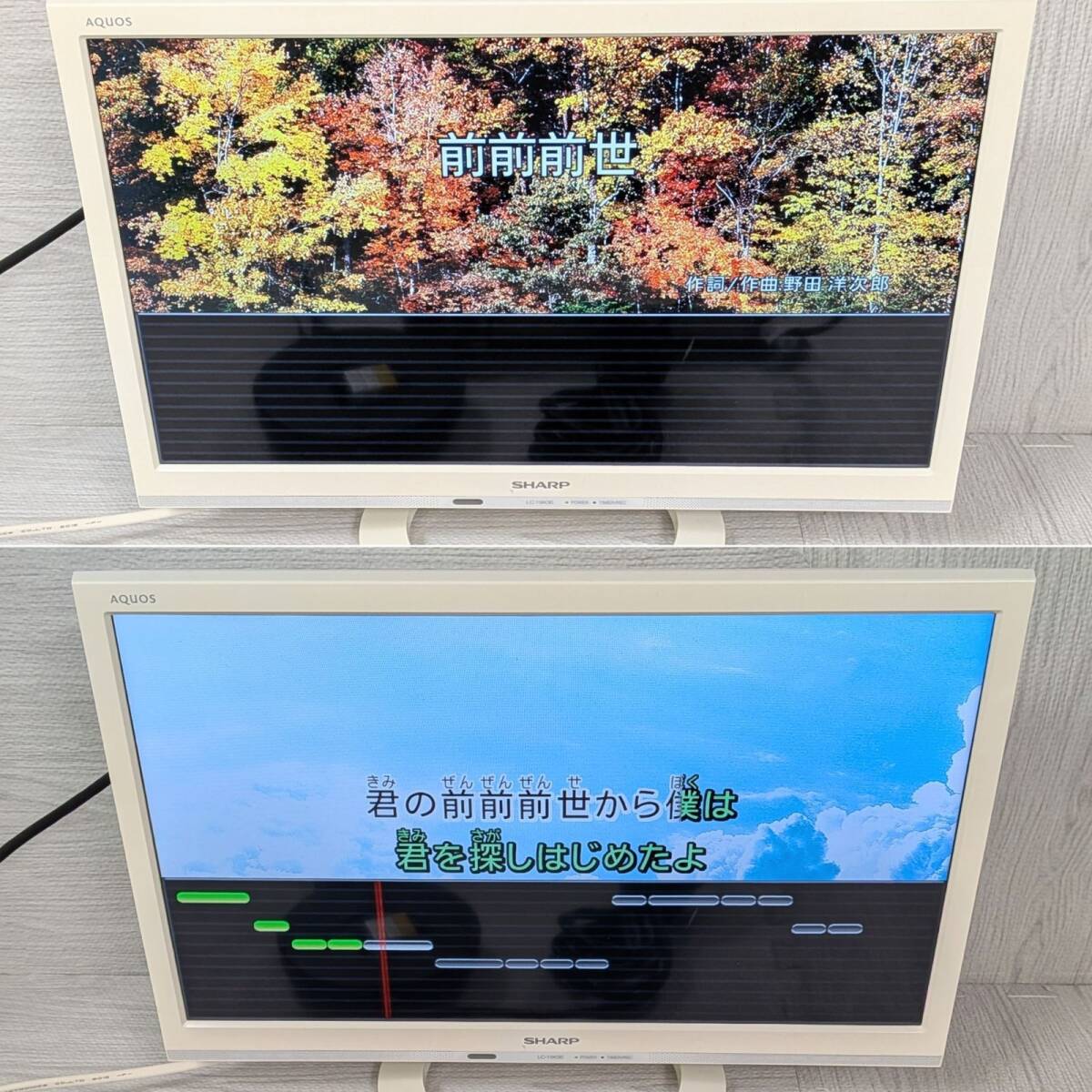 ON STAGE PK-FB01GT オンステージ 家庭用カラオケ 900曲 追加チップ3個