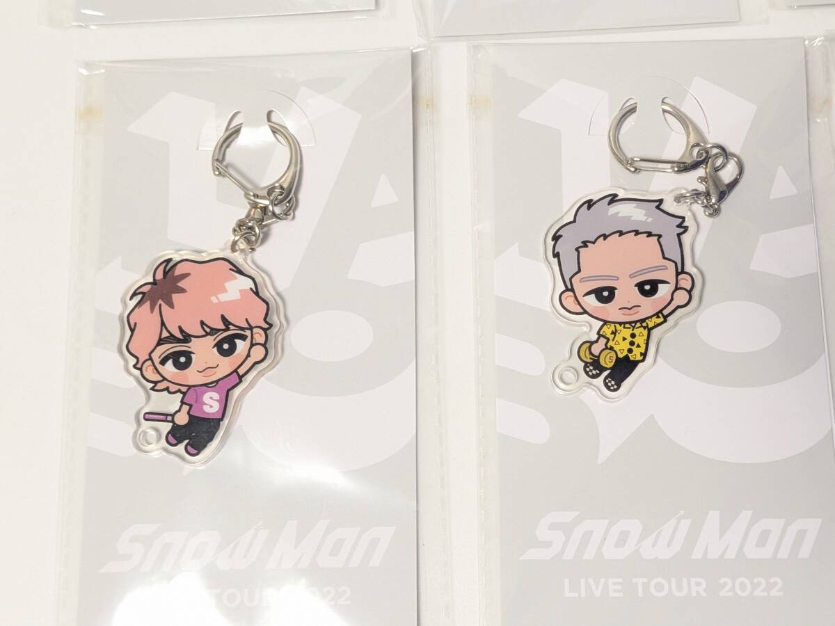 Snow Man すのチル ぶら下がりシリーズ アクリルキーホルダー 全種 9点
