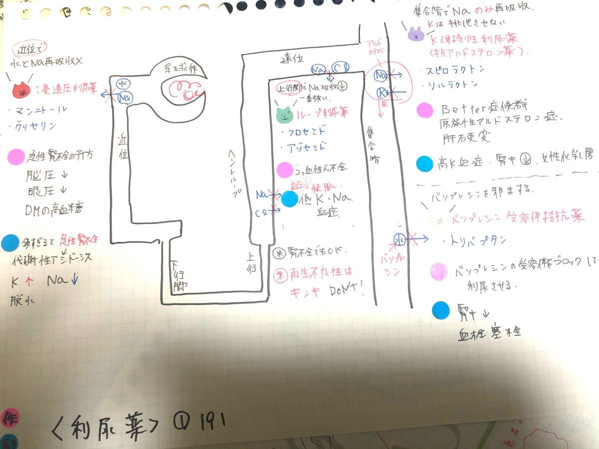 国家試験 付箋ノート 看護実習 関連図 看護過程 実習記録 看護学生
