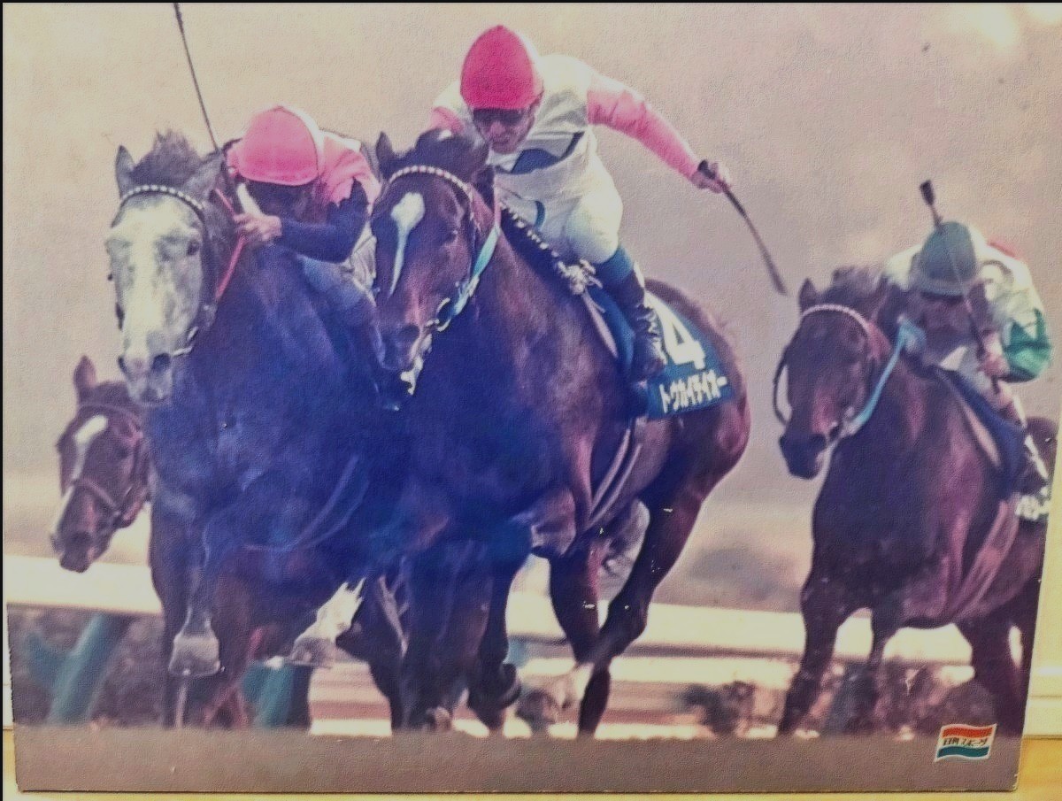 トーカイテイオー 奇跡の復活 1993年 第38回有馬記念 日刊