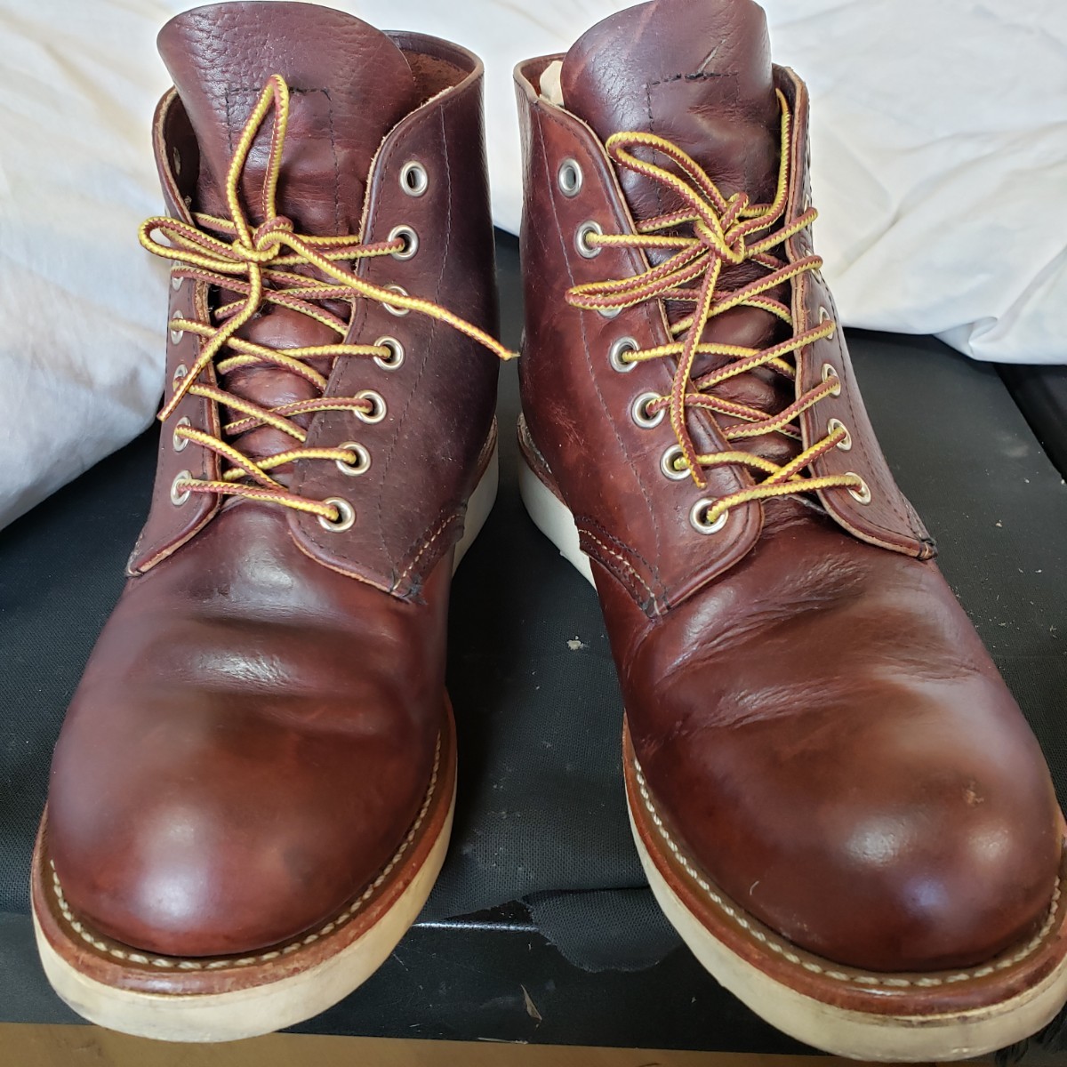 REDWING レッドウイング 8196 IRISHSETTER アイリッシュセッター 8 5D