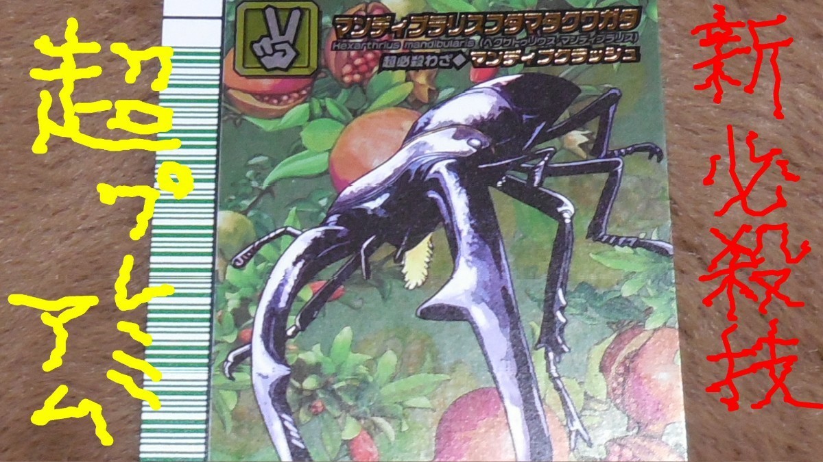 ムシキング5周年コレクション マンディブラリスフタマタクワガタ