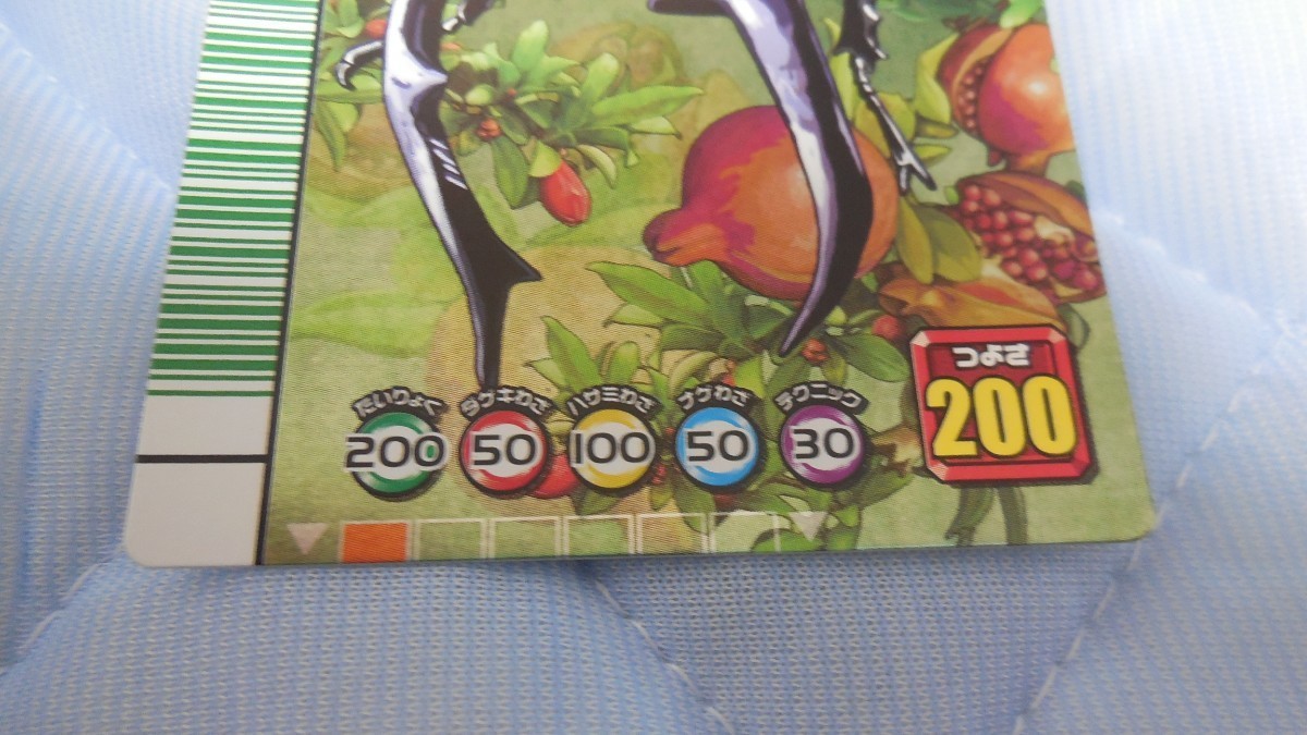 ムシキング5周年コレクション マンディブラリスフタマタクワガタ