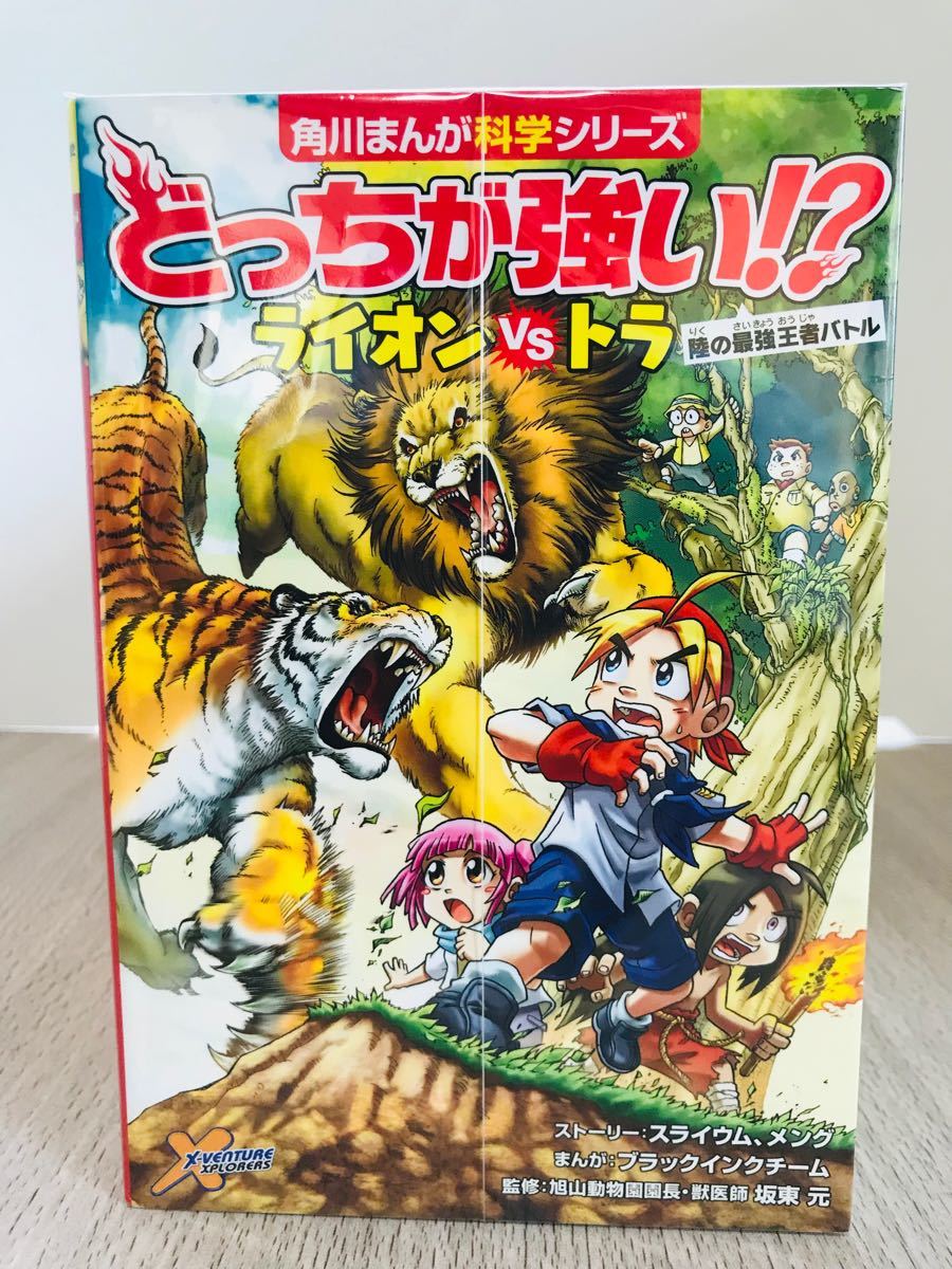 どっちが強い！？シリーズ 39冊セット どっちが強い！？シリーズ 39冊