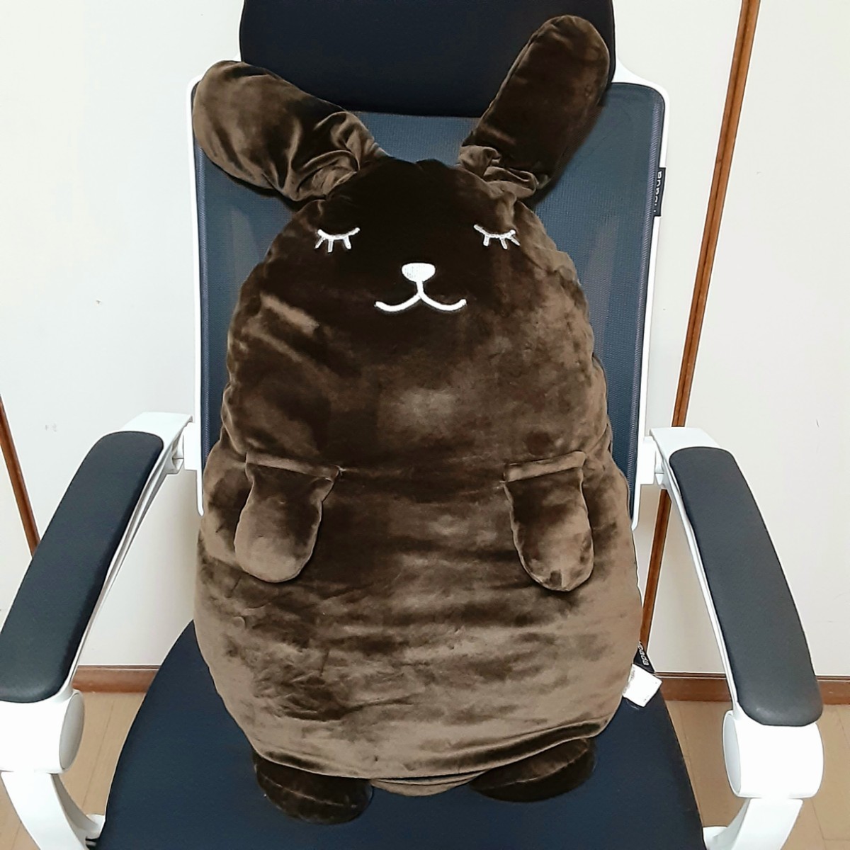 もちもち抱き枕 うさぎのモモちゃん｜Yahoo!フリマ（旧PayPayフリマ）