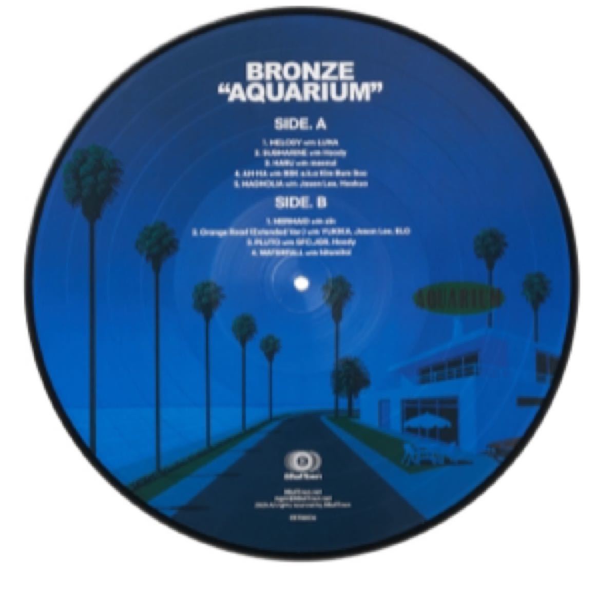 Bronze / Aquarium LP (Picture Disk) 永井博 レコード アナログ 限定
