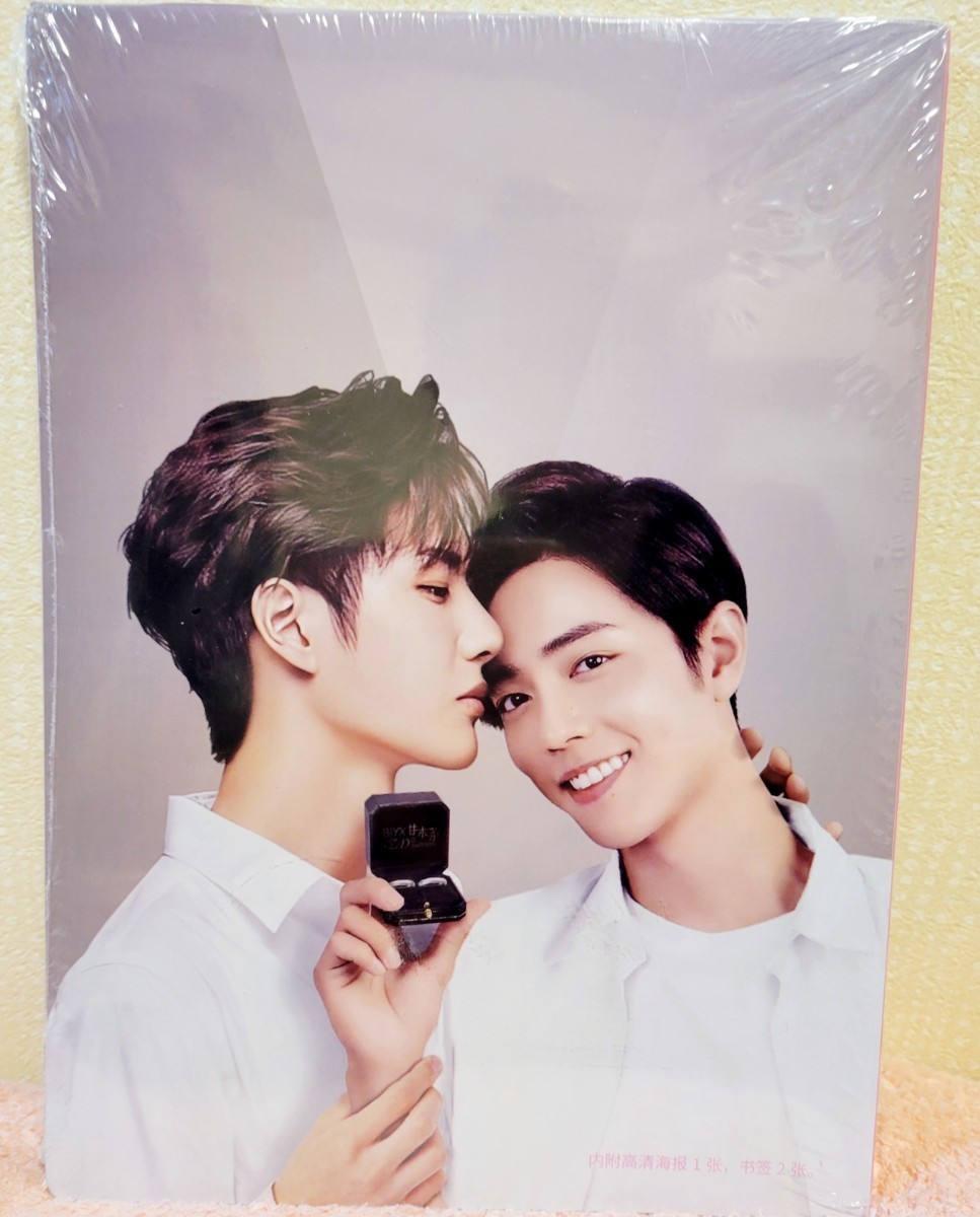 陳情令 博君一肖 MyStyle 写真集 陳情令 王一博 肖戦 写真集「