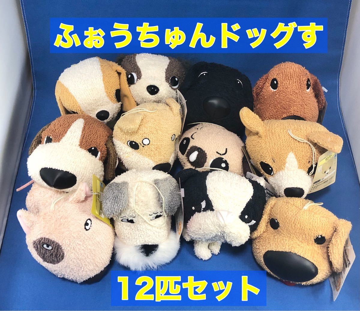 レア】ふぉうちゅんドッグす (タオル生地) ぬいぐるみ〈12個セット