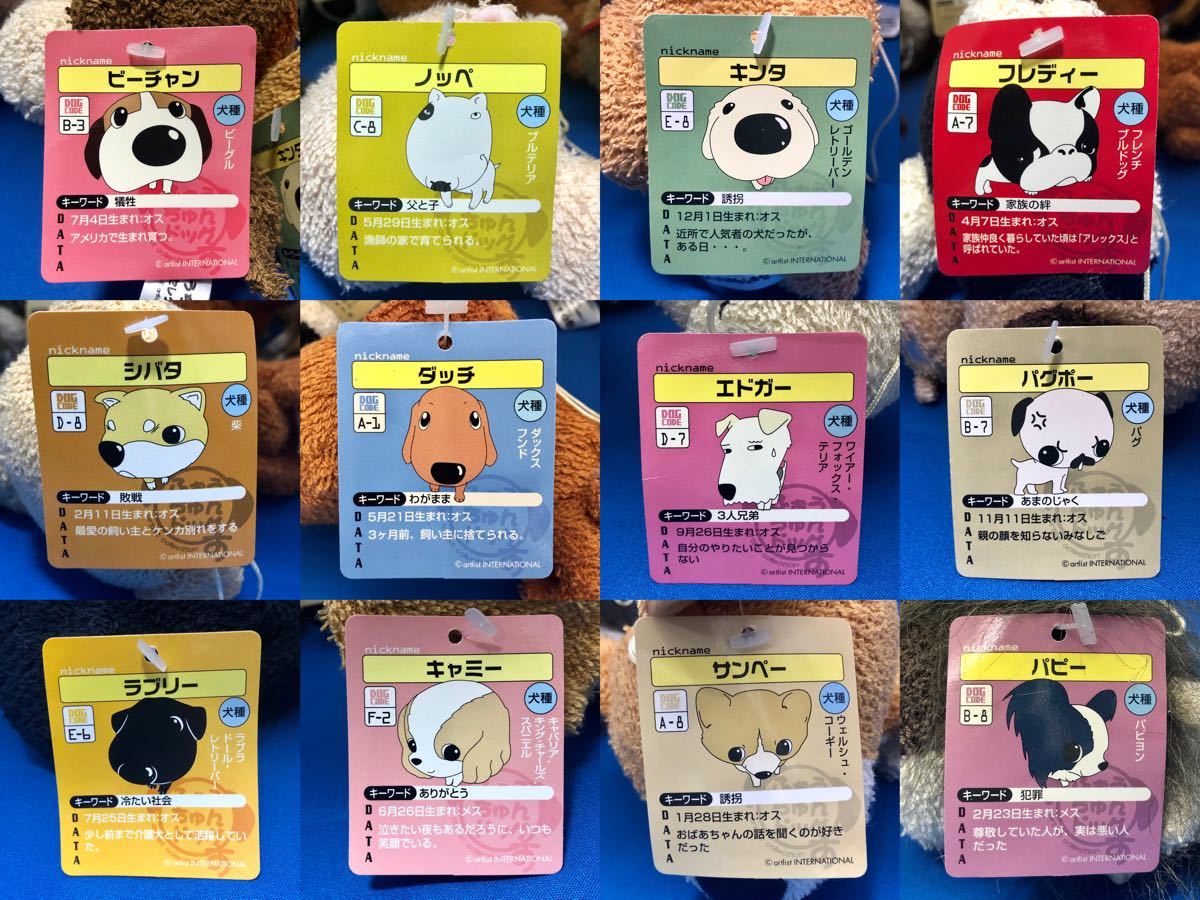 レア】ふぉうちゅんドッグす (タオル生地) ぬいぐるみ〈12個セット