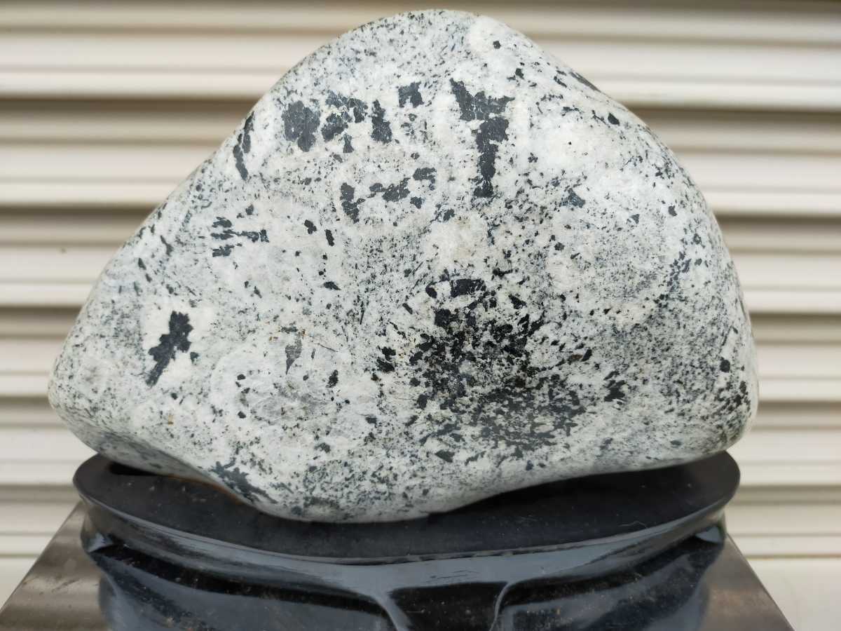 Yahoo!オークション - 時計石 ナポレオン石 鑑賞石 球状閃緑岩 台付 天