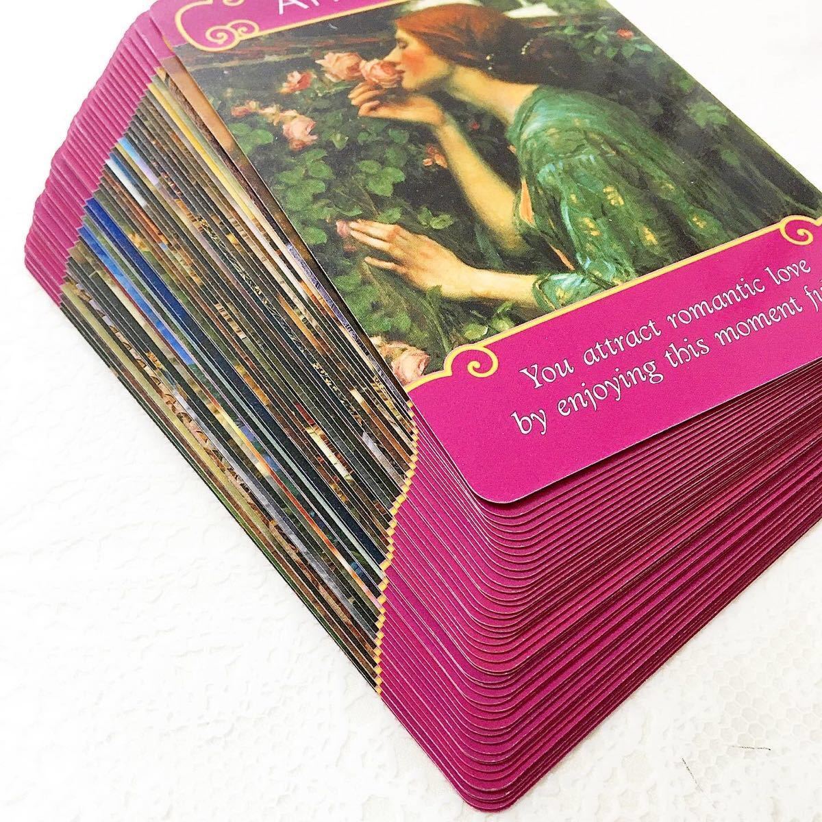 ☆絶版☆希少レア！自然と共に生きる！メディスン・カード 日本語版