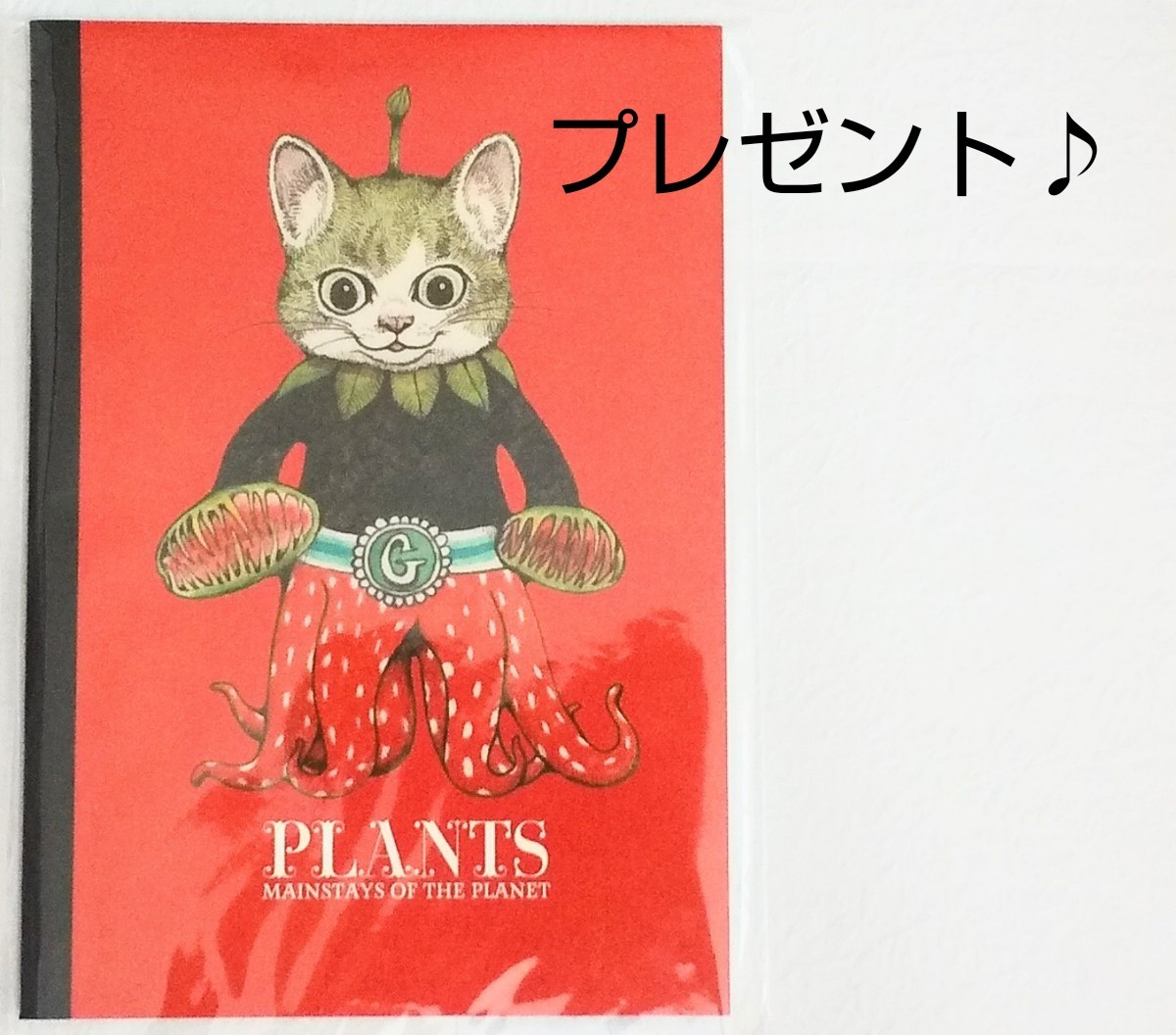 新品 未開封 こはるのお人形 ヒグチユウコ 菱山聡 ボリス雑貨店｜Yahoo