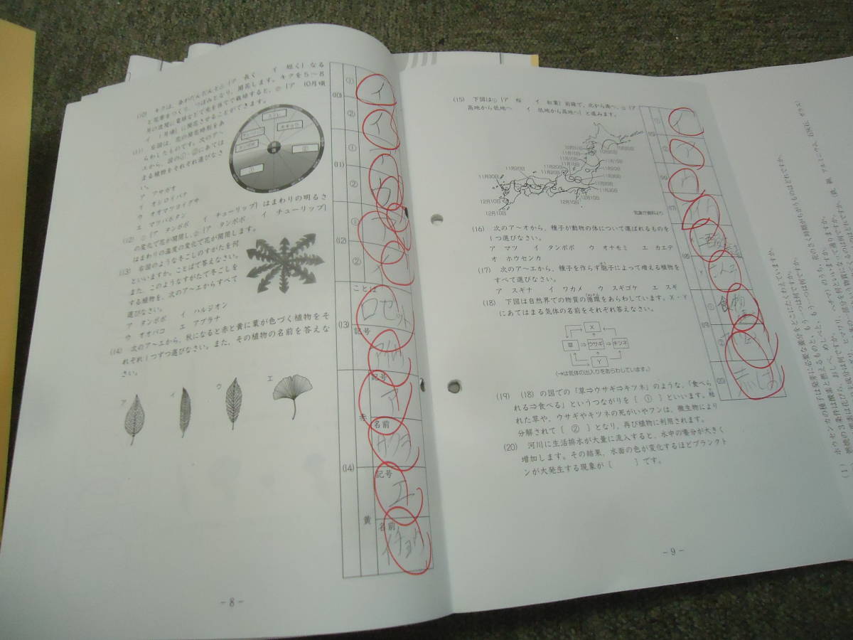 サピックス 理科 知識論理力講座14回/確認テスト13回 2020年度版