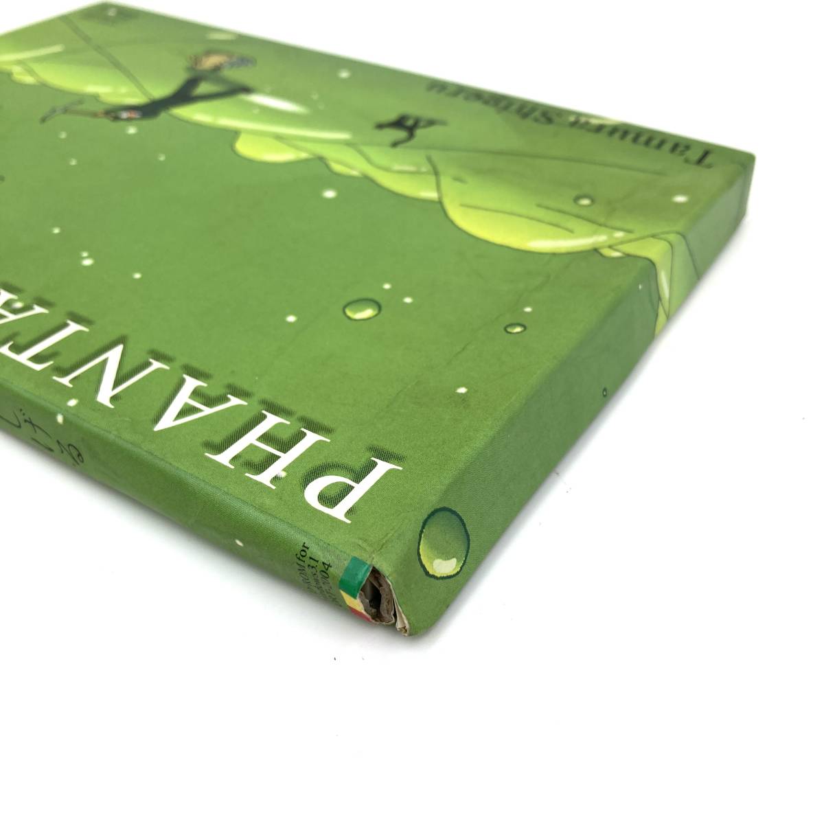 Yahoo!オークション - PCソフト『ファンタスマゴリア たむらしげる Win