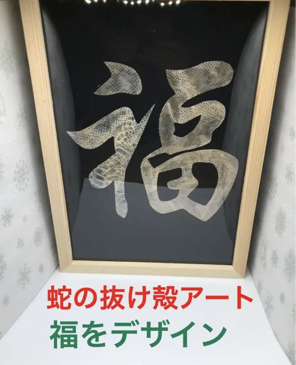 Yahoo!オークション - 蛇の抜け殻 アート 縁起 開運 金運 魔除け 守り