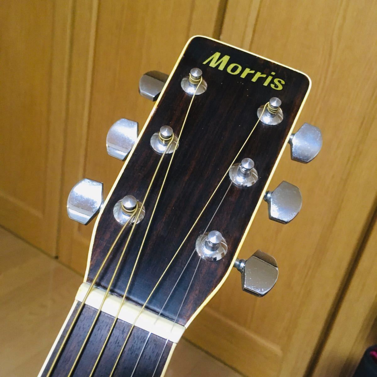 希少 King Gnu 常田大希 使用ギター Morris F-20 寺田楽器製 幌馬車