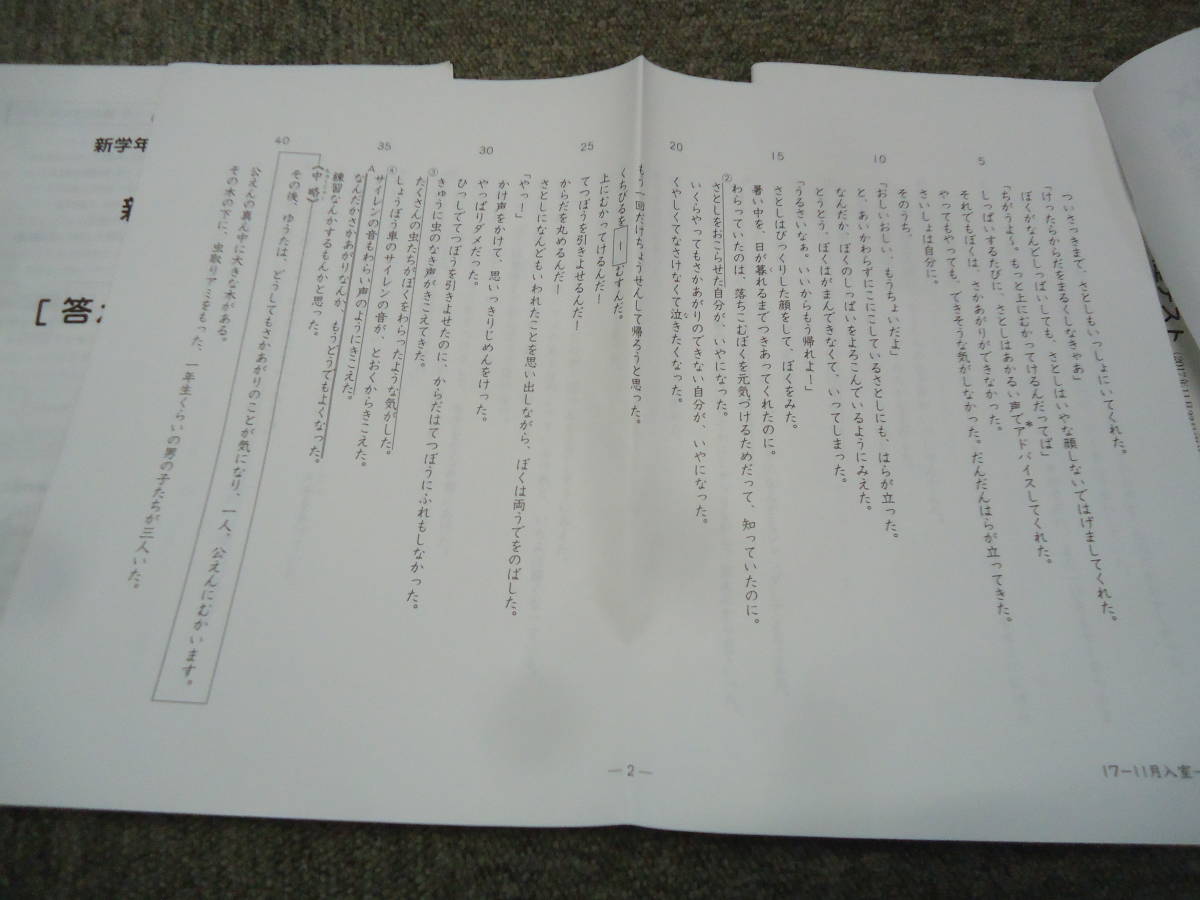 サピックス 新学年第1回入室テスト 新4年（現3年）国算 2017年11月23