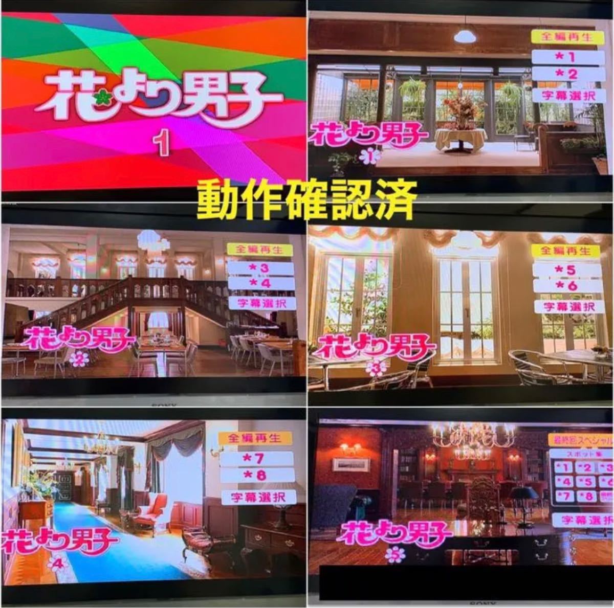 花より男子 DVD TVシリーズ & 劇場版 全14点セット｜Yahoo!フリマ（旧