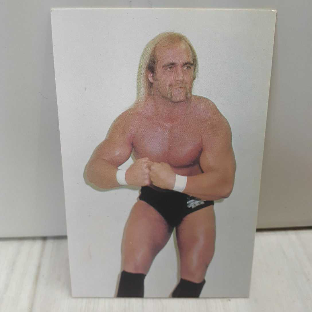 Yahoo!オークション - ポピー製 ハルク・ホーガン（新日本プロレス）