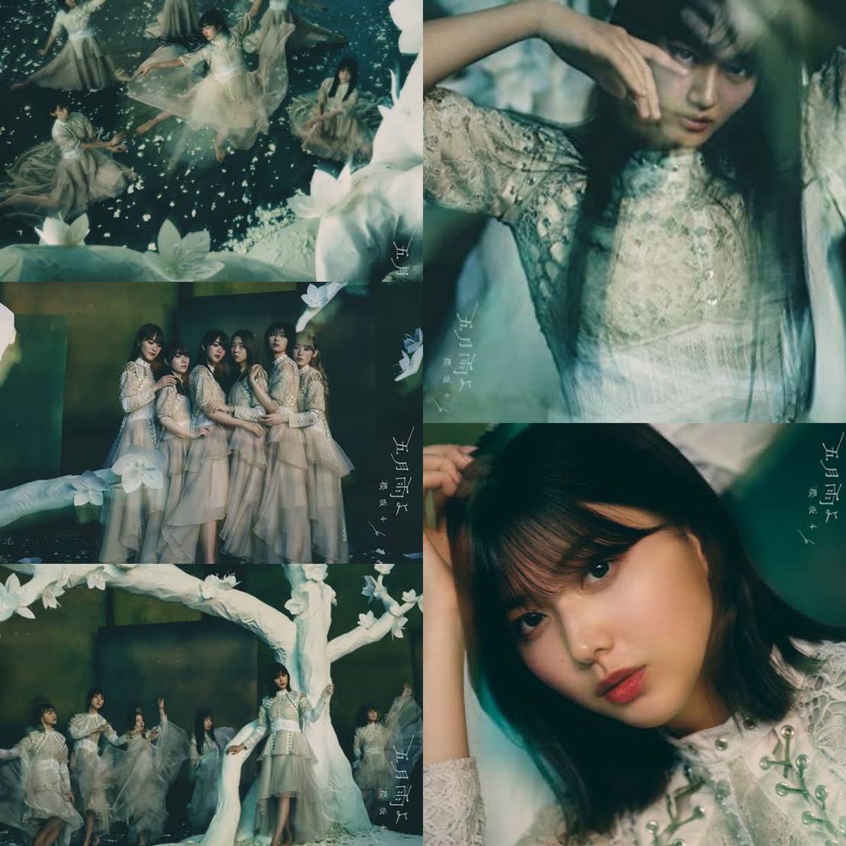 櫻坂46 4thシングル 『五月雨よ』初回限定盤ABCD＋渡邉理佐ジャケット
