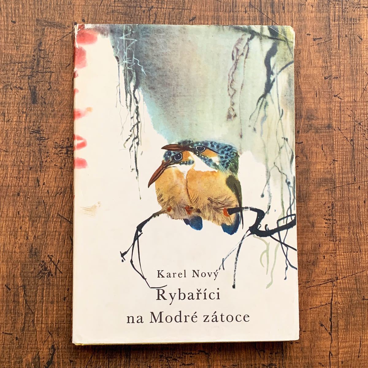 Yahoo!オークション - ミルコ・ハナークの古い絵本(Rybarici na Modre